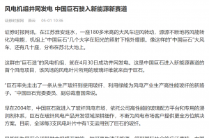 时报：风电机组并网发电 中国ag尊龙登陆入口z6mg驶入新能源新赛道